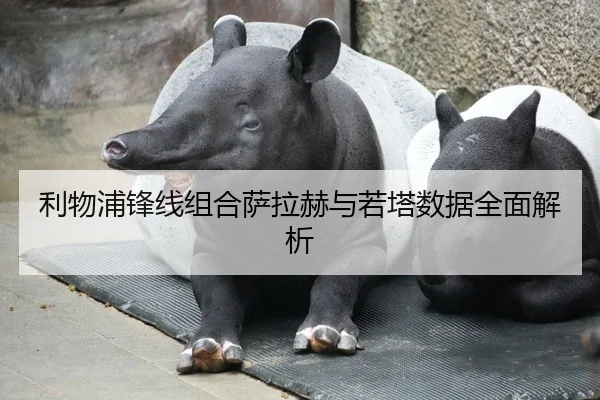 利物浦锋线组合萨拉赫与若塔数据全面解析